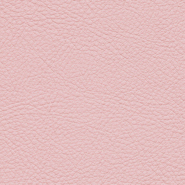 ���󥲥� �ػ����� L-Texture ���顼�쥶�� UP5095 ͭ����122cm 10cmĹ