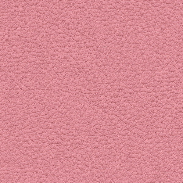 ���󥲥� �ػ����� L-Texture ���顼�쥶�� UP5097 ͭ����122cm 10cmĹ