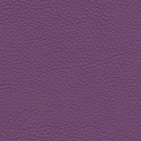 ���󥲥� �ػ����� L-Texture ���顼�쥶�� UP5109 ͭ����122cm 10cmĹ