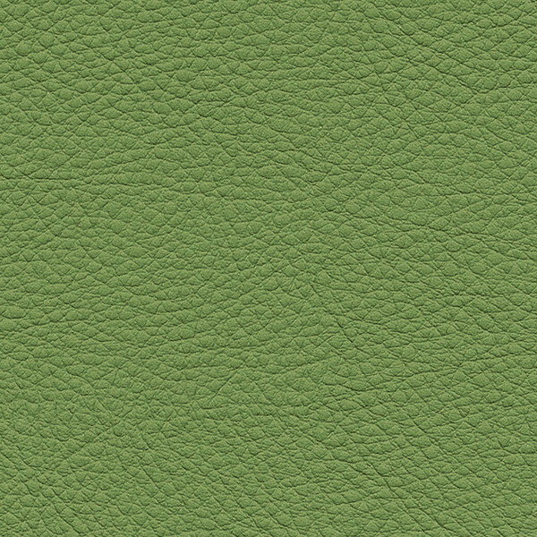サンゲツ 椅子生地 L-Texture カラーレザー UP5137 有効巾122cm 10cm長