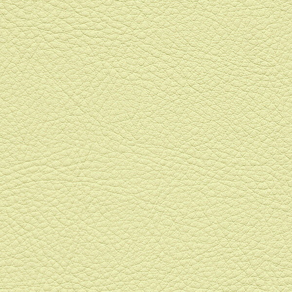 サンゲツ 椅子生地 L-Texture カラーレザー UP5143 有効巾122cm 10cm長