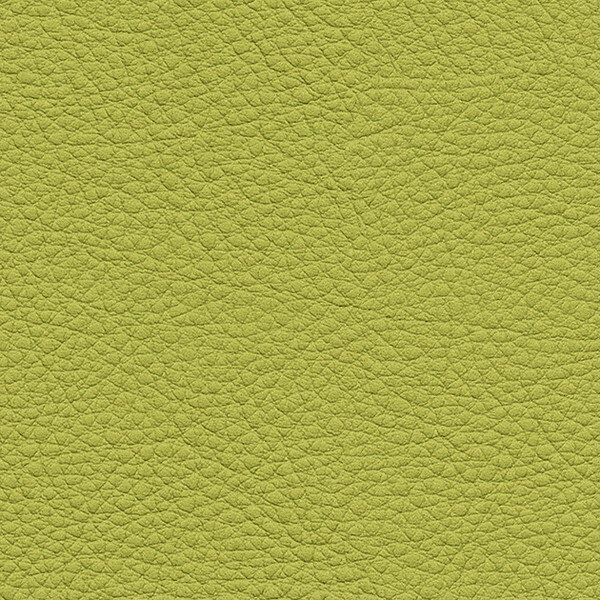 サンゲツ 椅子生地 L-Texture カラーレザー UP5146 有効巾122cm 10cm長