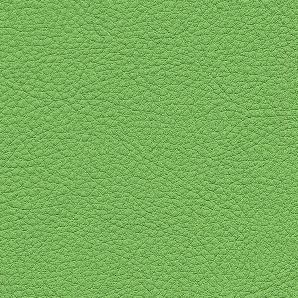 サンゲツ 椅子生地 L-Texture カラーレザー UP5148 有効巾122cm 10cm長