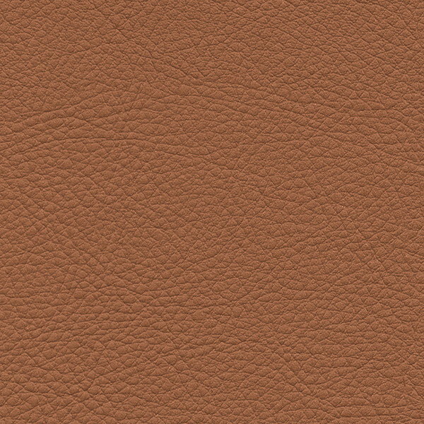 サンゲツ 椅子生地 L-Texture カラーパレット2 UP5161 有効巾137cm 10cm長