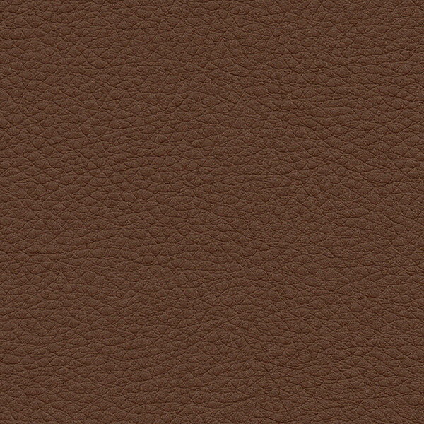 サンゲツ 椅子生地 L-Texture カラーパレット2 抗ウイルス UP5184 有効巾137cm 10cm長