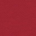 サンゲツ 椅子生地 L-Texture カラーパレット2 抗ウイルス UP5186 有効巾137cm 10cm長