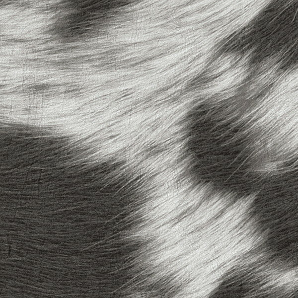 サンゲツ 椅子生地 L-Pattern テルネーロ UP5455 有効巾137cm 10cm長