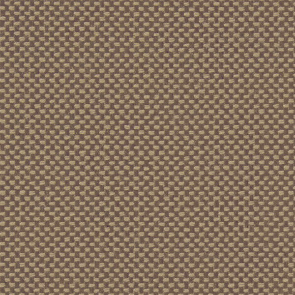 サンゲツ 椅子生地 F-Texture カラーキャンバス UP5788 有効巾125cm 10cm長