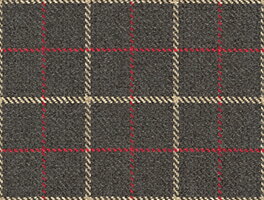 サンゲツ 椅子生地 F-Pattern クッペクープ UP6040 有効巾140.8cm 10cm長