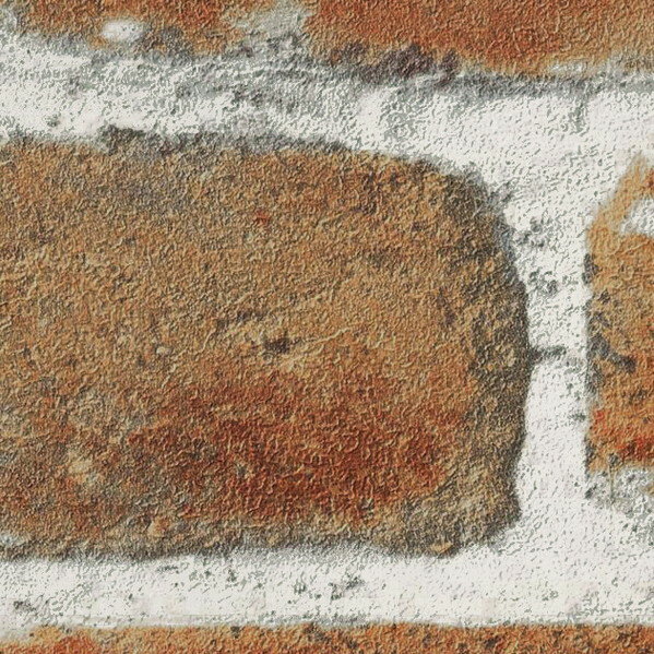 ���󥲥� �ɻ� �����롦��� FE76648 1mĹ �Ҥʤ�