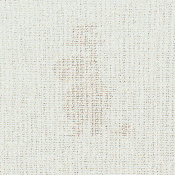 シンプルな織物調に、ムーミンたちがパールでキラキラと浮かび上がります。版画調のパターンは、初代作家トーベ・ヤンソンのオリジナルデザインです。 機能:日本工業規格JIS適合品です。 壁紙工業会により制定された、自主安全規格の基準をクリアしてい...