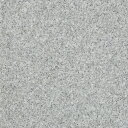 サンゲツ 住宅用クッションフロア PLAIN & PATTERN カランドリー HM-12137 巾182cm 全厚1.8mm 10cm長