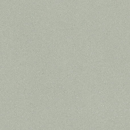 サンゲツ フロアタイル ストーン＆アクセント ピグメニアンタイル IS-2147 457.2mm×457.2mm 全厚2.5mm 1枚