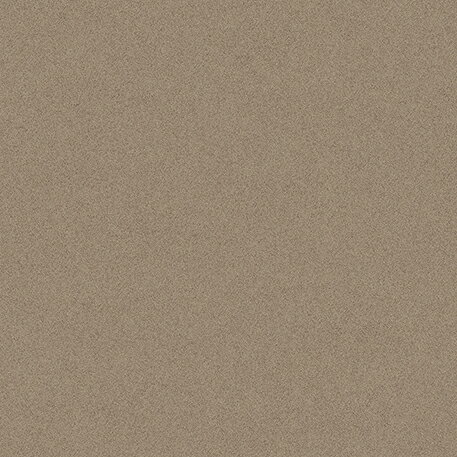 サンゲツ フロアタイル ストーン＆アクセント フラルテ IS-2178 457.2mm×457.2mm 全厚2.5mm 1枚