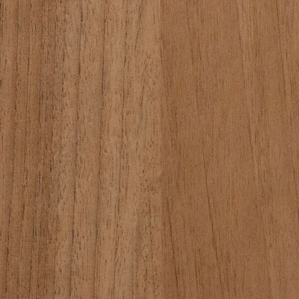 󥲥 ꥢƥå Ѹꥢƥå ʥå  TCE-4241 122cm 10cmĹ