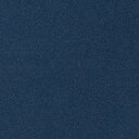 サンゲツ リアテック フューチャーポップ Ocean Blue TR-4392 122cm幅 10cm長
