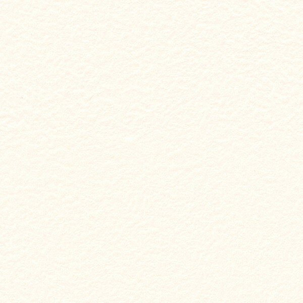 サンゲツ 壁紙 EDA NEW STOUR RE55752 1m長 糊なし