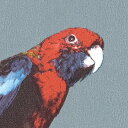 サンゲツ 壁紙 国立科学博物館 Birds RE55942 1m長 糊なし