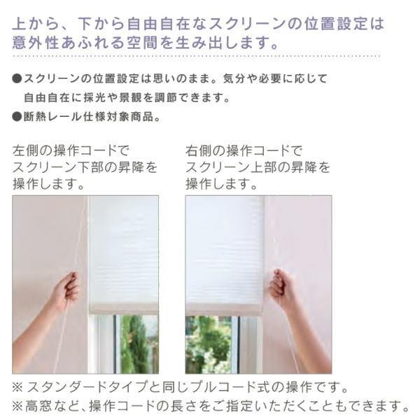 セイキ ハニカム サーモスクリーン ツーウェイ 採光タイプ 幅1401〜1650mm 高さ205...