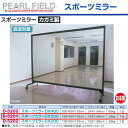 ダンノ スポーツミラーDX300 鏡製 D-5201