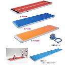 ダンノ ショートエアートラック300(フットポンプ付) 巾100×長さ300×厚み10cm D-7172
