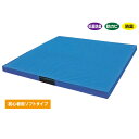 KLASS 抗菌柔道用投げ込みマット 200×200cm 厚み10cm TB21000
