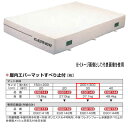 エバニュー 屋内エバーマット すべり止付 EGD143 200×300cm 30cm厚
