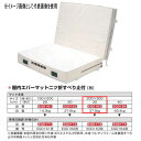 エバニュー 屋内エバーマット 二ツ折 すべり止付 EGD163 200×300cm 30cm厚