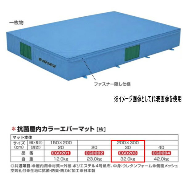 エバニュー 抗菌 屋内 カラーエバーマット EGD203 200×300cm 30cm厚