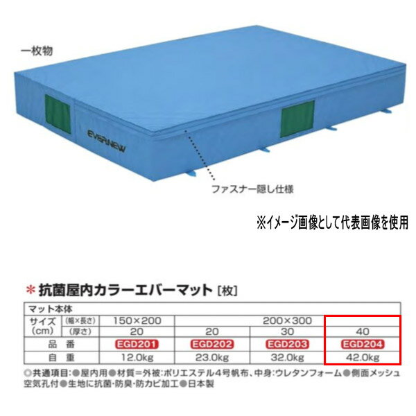 エバニュー 抗菌 屋内 カラーエバーマット EGD204 200×300cm 40cm厚