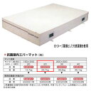 エバニュー 抗菌 屋内 エバーマット EGD222 200×300cm 20cm厚