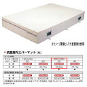 エバニュー 抗菌 屋内 エバーマット EGD223 200×300cm 30cm厚