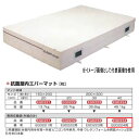 エバニュー 抗菌 屋内 エバーマット EGD224用専用交換袋(外被のみ) EGD234