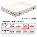 エバニュー 抗菌 屋内 エバーマット すべり止付 EGD243 200×300cm 30cm厚