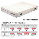 エバニュー 抗菌 屋内 エバーマット すべり止付 EGD243用専用交換袋(外被のみ) EGD253