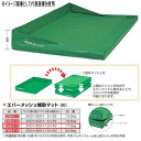 エバニュー エバーメッシュ補助マット EGD413 幅200×長さ300×マット厚10×総高40cm