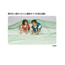 エバニュー 運動会ネット 6 EKA406 1張