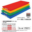 エバニュー 屋内外兼用体操マット EKM416 幅 120×長300cm 厚5cm