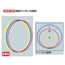 エバニュー 体操リング L(各4色組) EKB196 外径約82cm 1組(4)