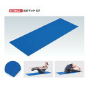 エバニュー ストレッチマット ヨガマットEV 長さ172×幅60×厚さ0.4cm ETB631 1枚(4)