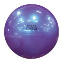 ニシスポーツ ノンバーストVボール NT5874C 直径75cm メタリックパープル(4)