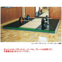 ニシスポーツ プラットフォーム T3246 (W)3000×(L)3000×(H)100mm