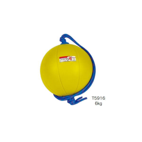 ニシスポーツ スウィングメディシンボール 6kg T5916 イエロー