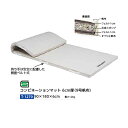 トーエイライト コンビネーションマット 6cm厚 9号帆布 90×180×6cm T1270