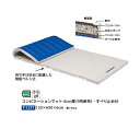 トーエイライト コンビネーションマット 6cm厚 9号帆布・すべり止め付 120×600×6cm T1277