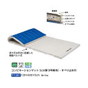 トーエイライト コンビネーションマット 5cm厚 抗菌9号帆布・すべり止め付 120×600×5cm T1291