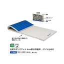 トーエイライト 合成スポンジマット 6cm厚 6号帆布・すべり止め付 120×300×6cm T1862