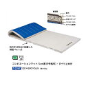 トーエイライト コンビネーションマット 5cm厚 9号帆布・すべり止め付 120×600×5cm T2367