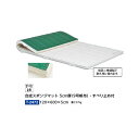 トーエイライト 合成スポンジマット 5cm厚 9号帆布・すべり止め付 120×600×5cm T2472