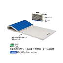 トーエイライト 合成スポンジマット 6cm厚 9号帆布・すべり止め付 90×180×6cm T2691
